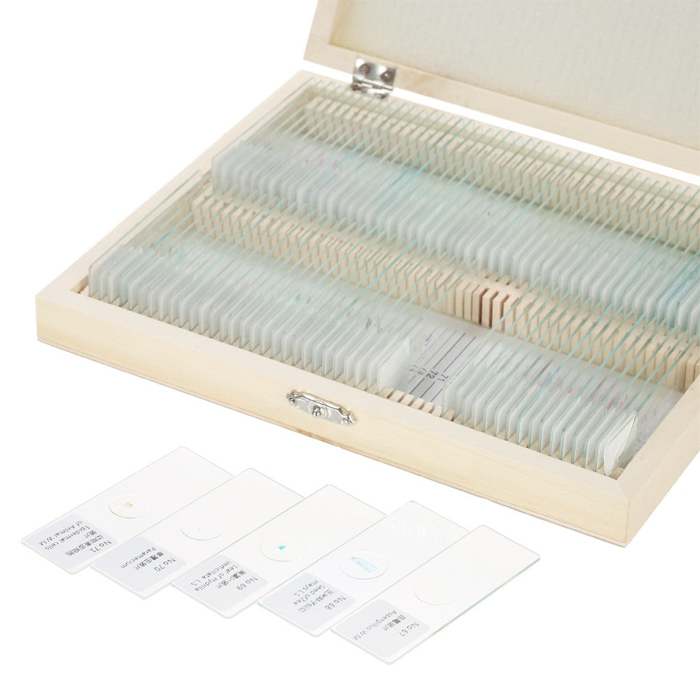 Prepared Microscope Slides Animal Plants Insects Tissues Specimens Set with Wooden Case 100pcs