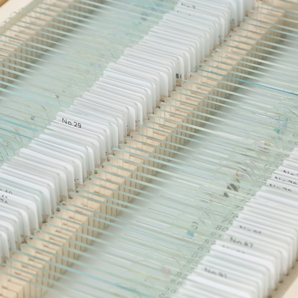 Prepared Microscope Slides Animal Plants Insects Tissues Specimens Set with Wooden Case 100pcs
