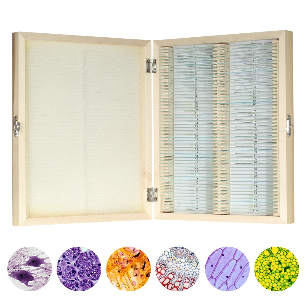 Prepared Microscope Slides Animal Plants Insects Tissues Specimens Set with Wooden Case 100pcs