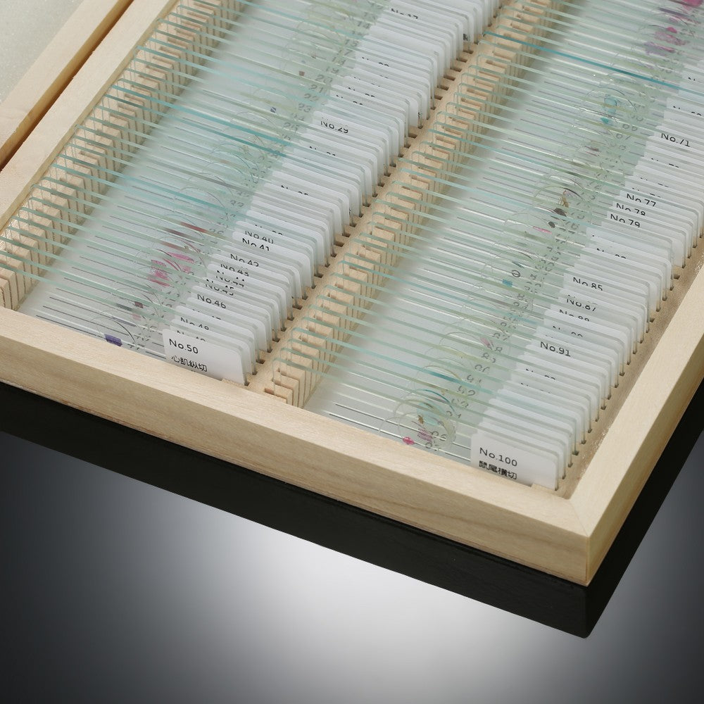 Prepared Microscope Slides Animal Plants Insects Tissues Specimens Set with Wooden Case 100pcs