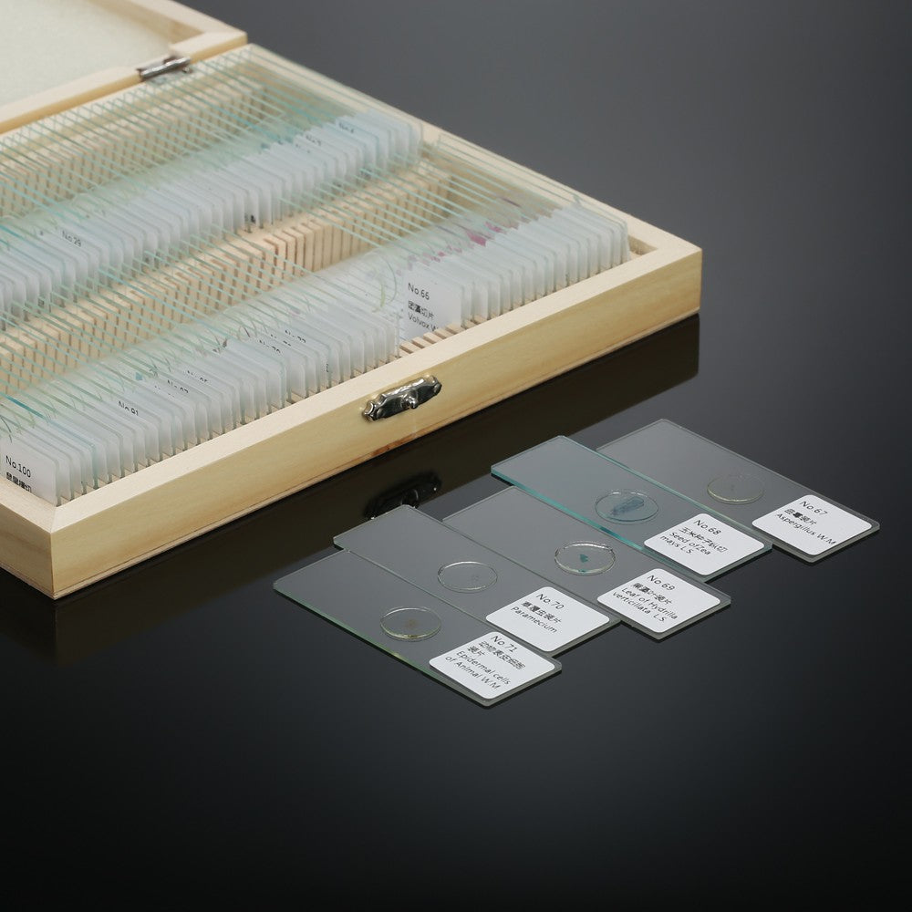 Prepared Microscope Slides Animal Plants Insects Tissues Specimens Set with Wooden Case 100pcs