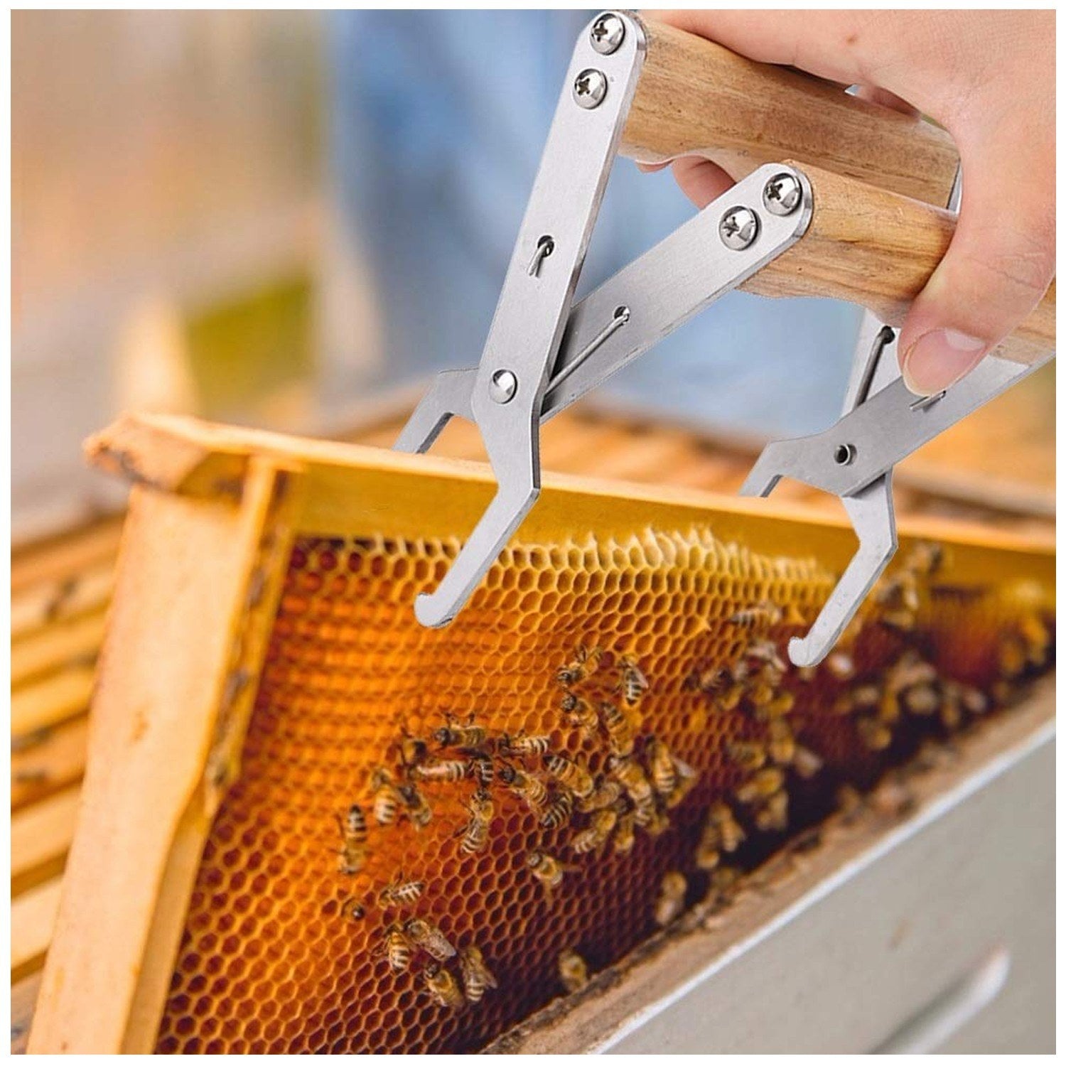 Frame Clip Wooden Handle Bee Nests Box Jig Griper Lifter Stainless Steel Nest Holder