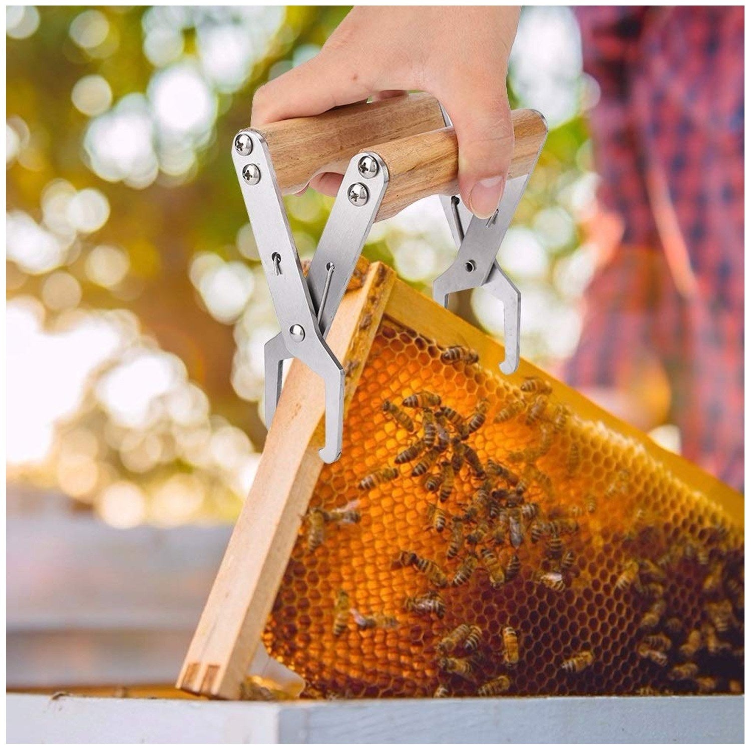 Frame Clip Wooden Handle Bee Nests Box Jig Griper Lifter Stainless Steel Nest Holder