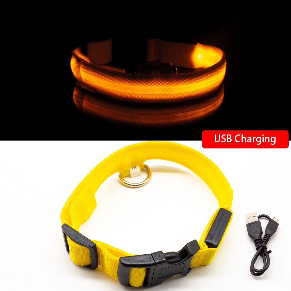 USB Charging Dog Collar Anti-Lost/Avoid Car Accident For Puppies 
