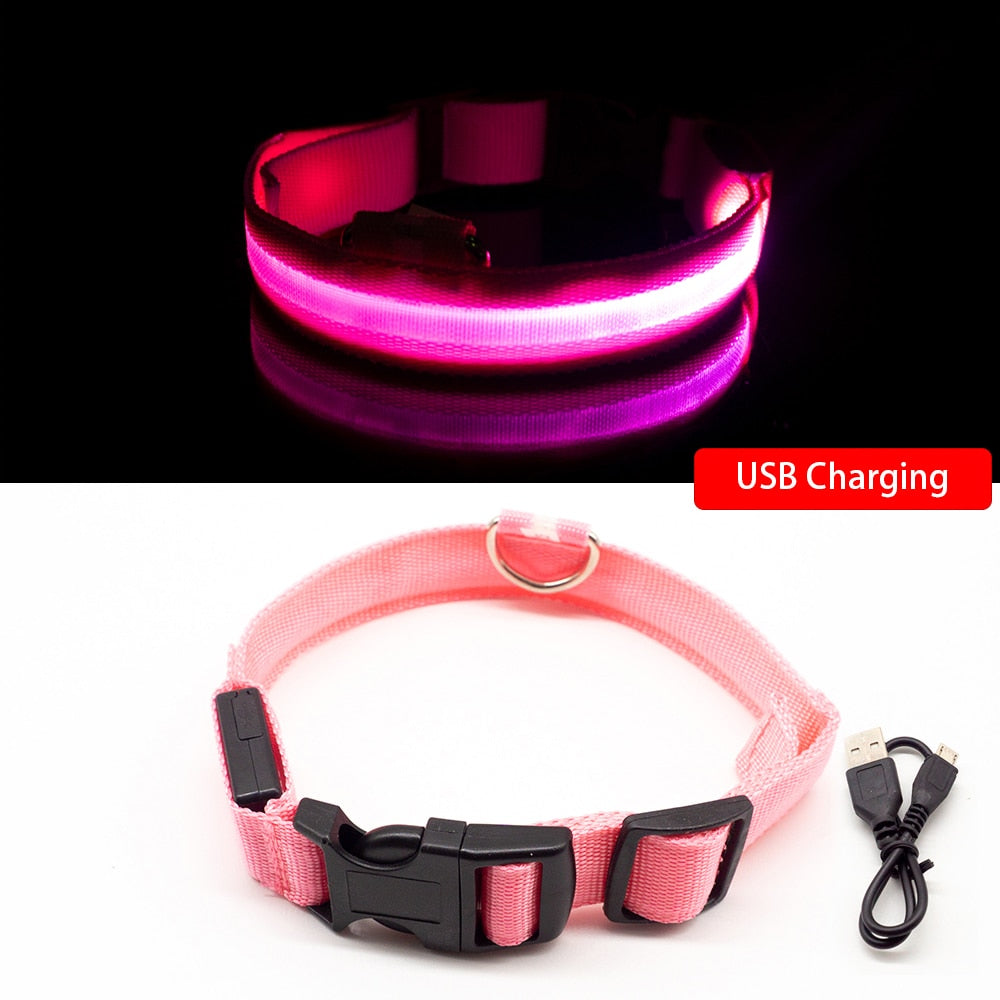 USB Charging Dog Collar Anti-Lost/Avoid Car Accident For Puppies 