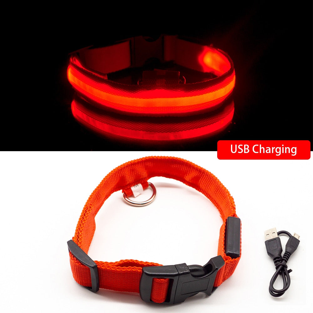 USB Charging Dog Collar Anti-Lost/Avoid Car Accident For Puppies 