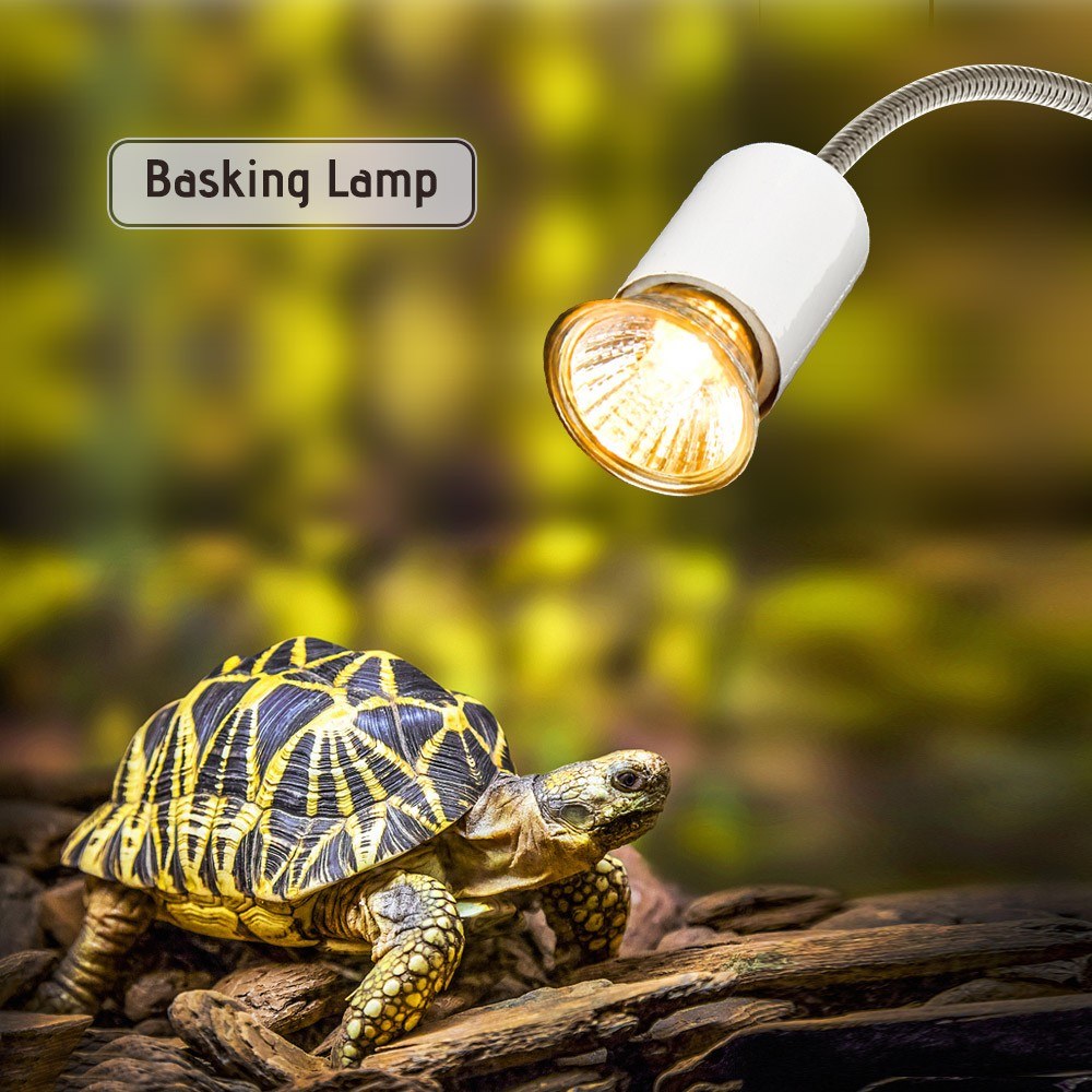 25W Halogen Heat Lamp UVA UVB Basking Lamp Heater Light Bulb