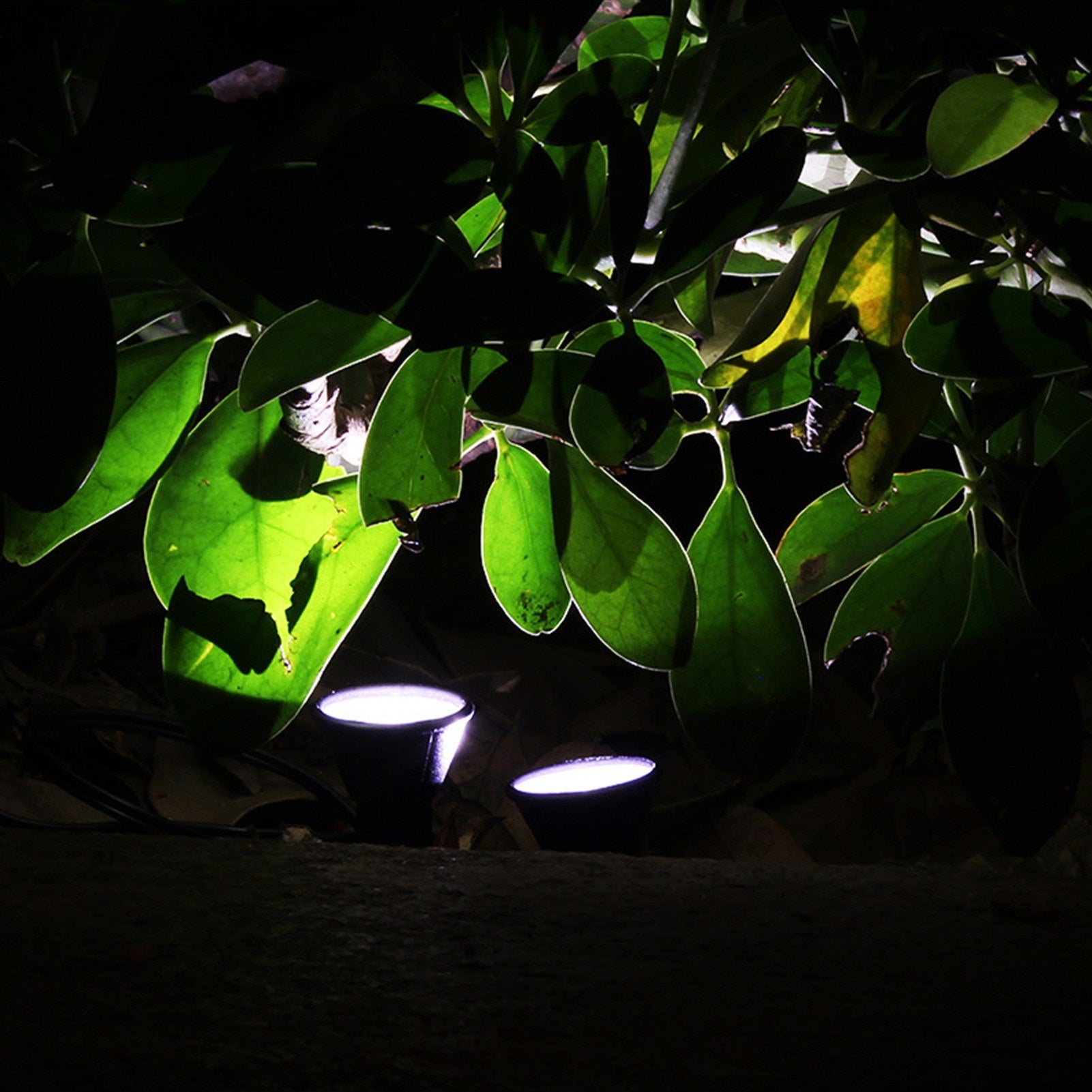 Solar Path Stake Lights Pack 10