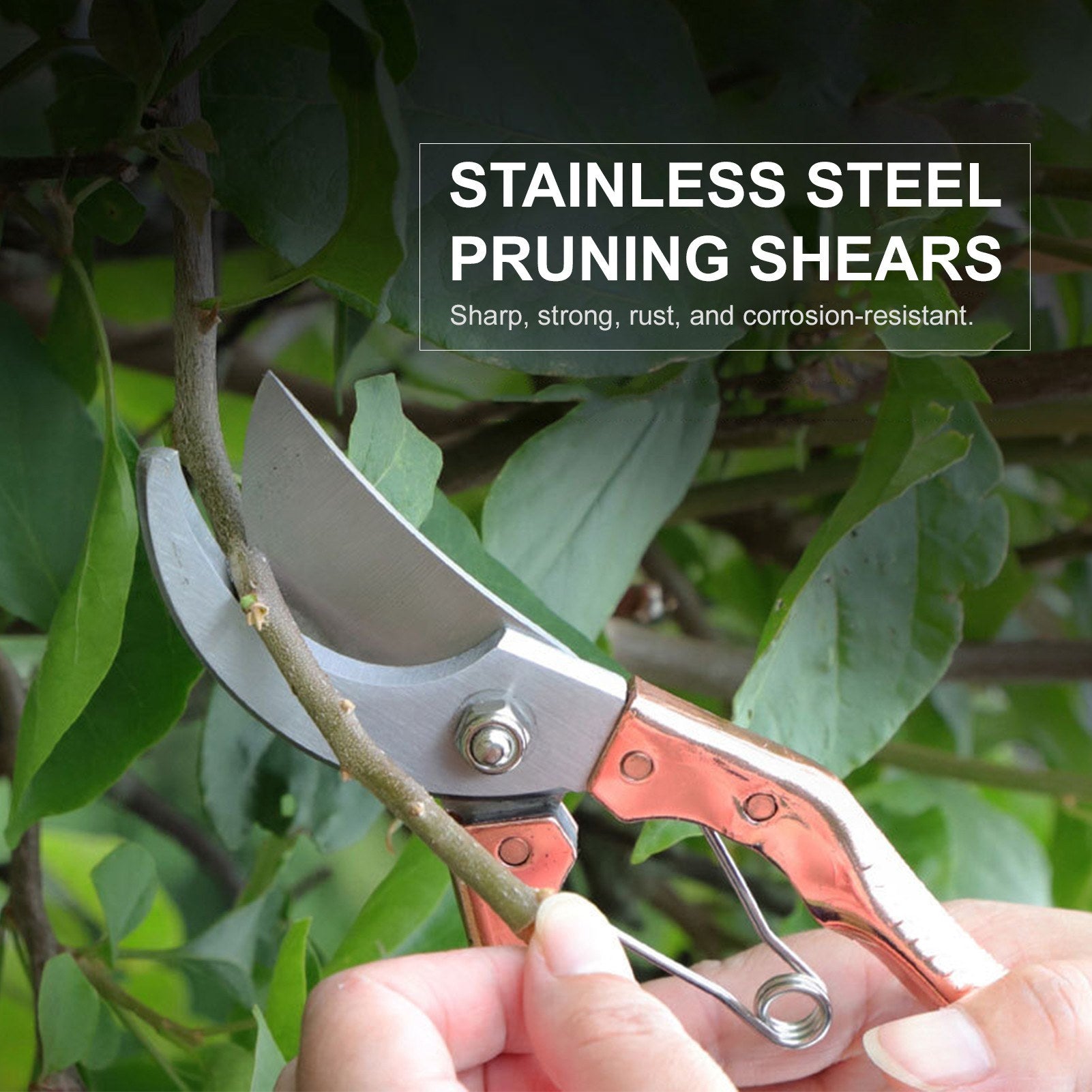 Steel Blade Secateurs