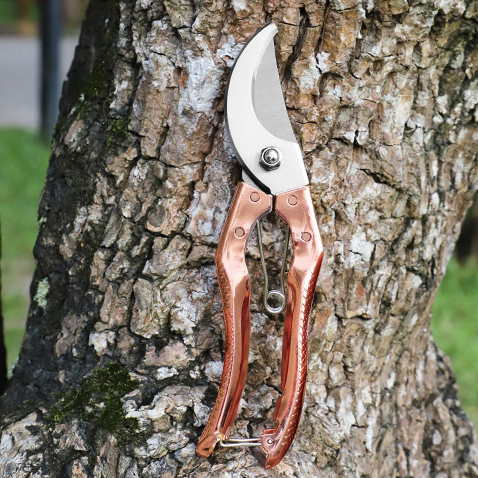 Steel Blade Secateurs