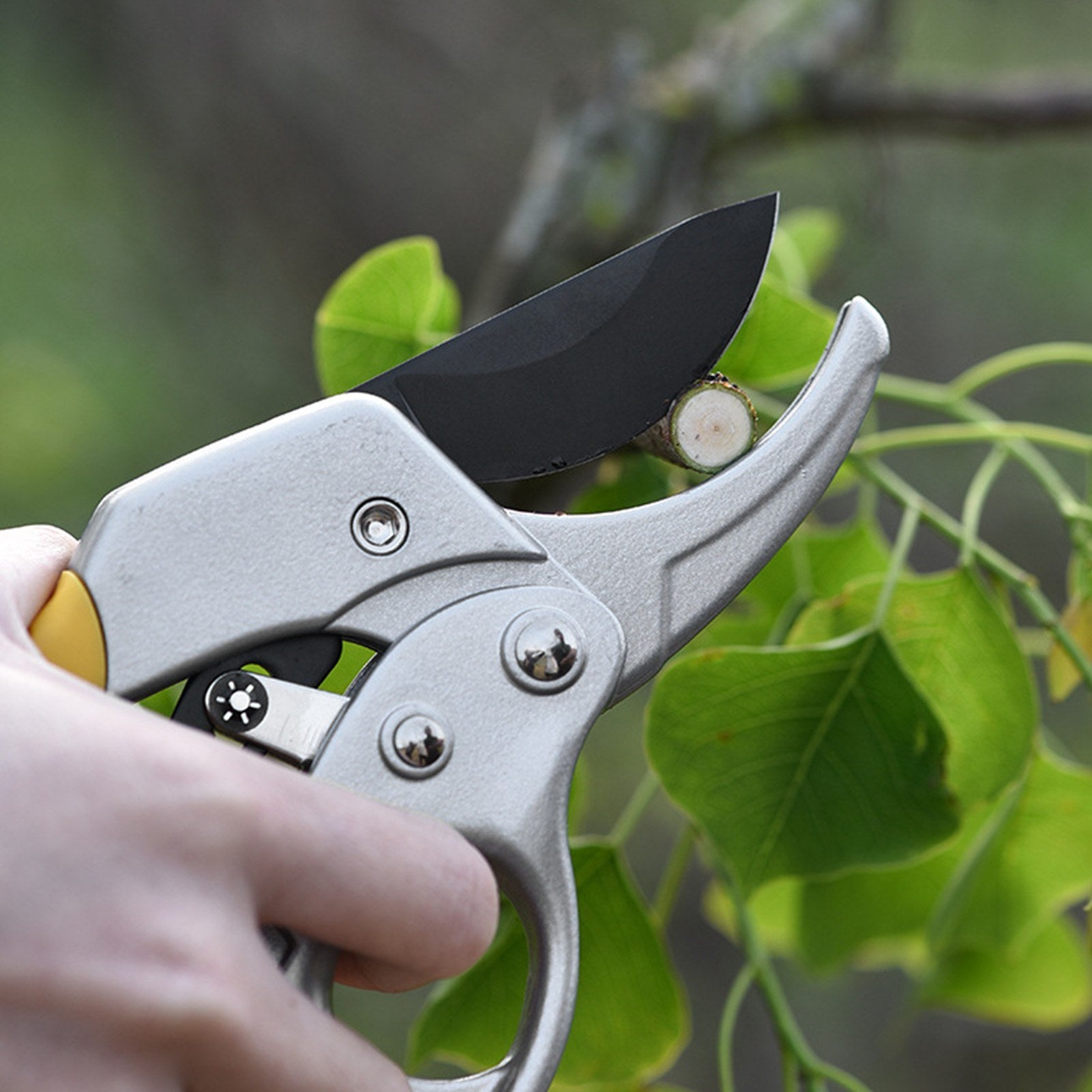 Secateurs Steel Blade Pruning Shears