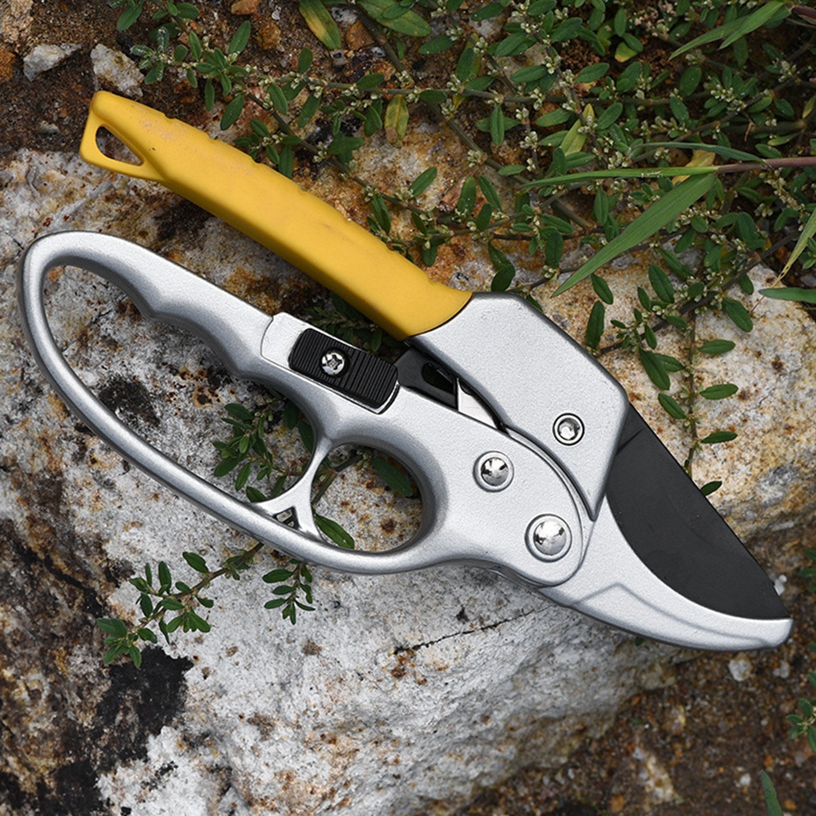 Secateurs Steel Blade Pruning Shears