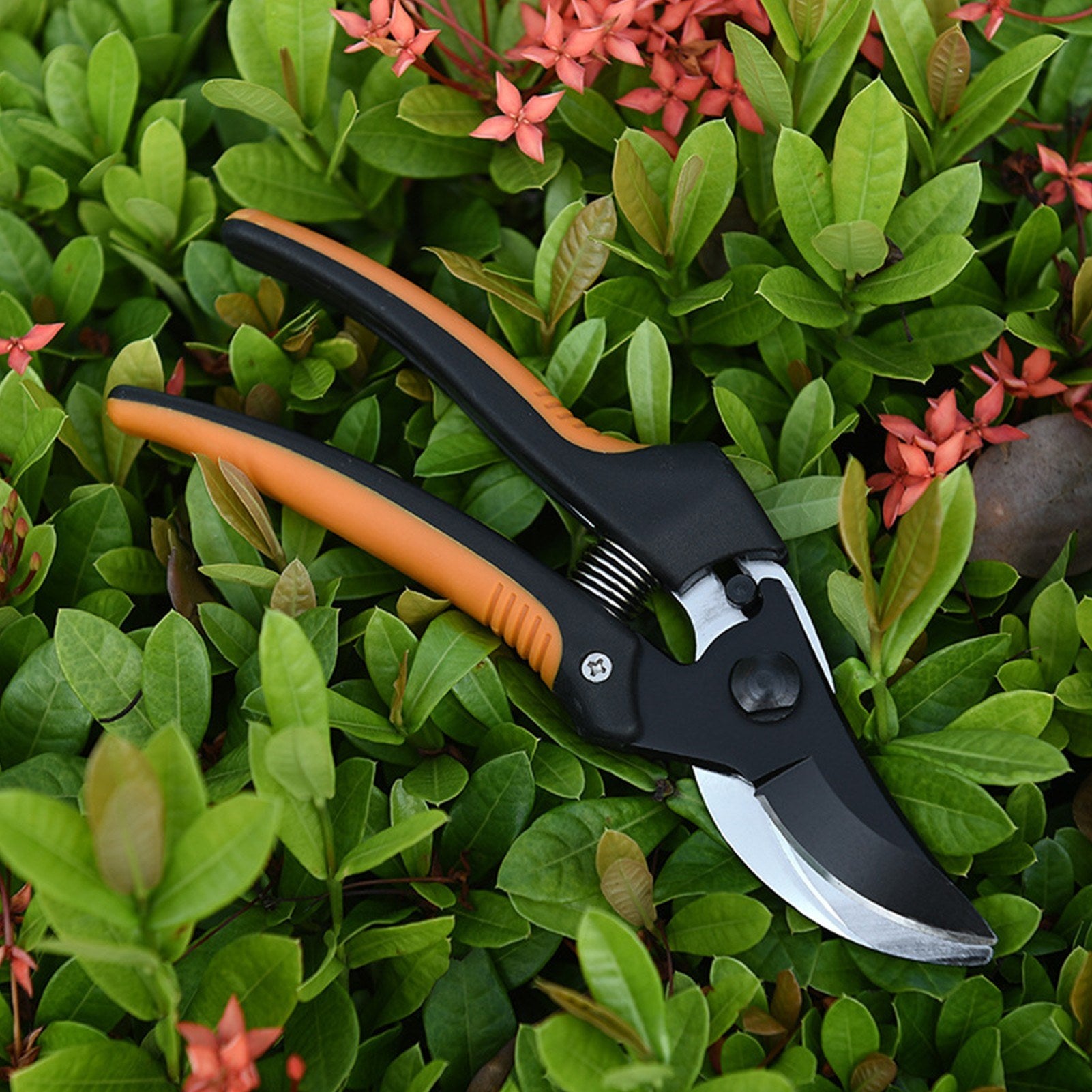 Secateurs Carbon Steel Blade Pruning Shears