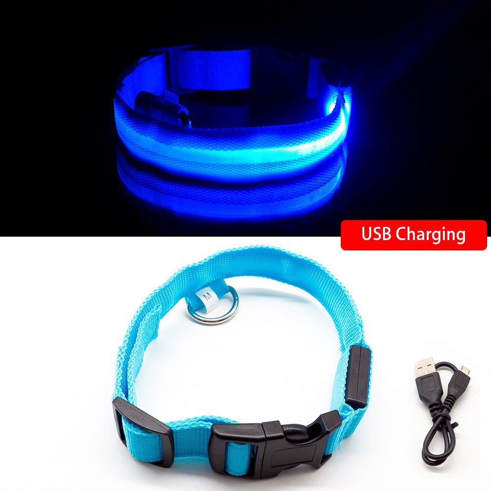USB Charging Dog Collar Anti-Lost/Avoid Car Accident For Puppies