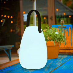 Outdoor Indoor Waterproof Light Up Portable LED Decorative Table Garden Lamps Events Camping Mood Lights with Remote Control