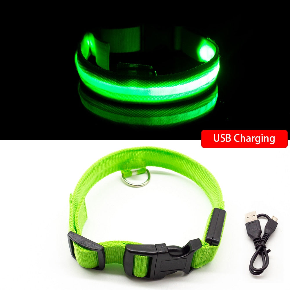USB Charging Dog Collar Anti-Lost/Avoid Car Accident For Puppies 
