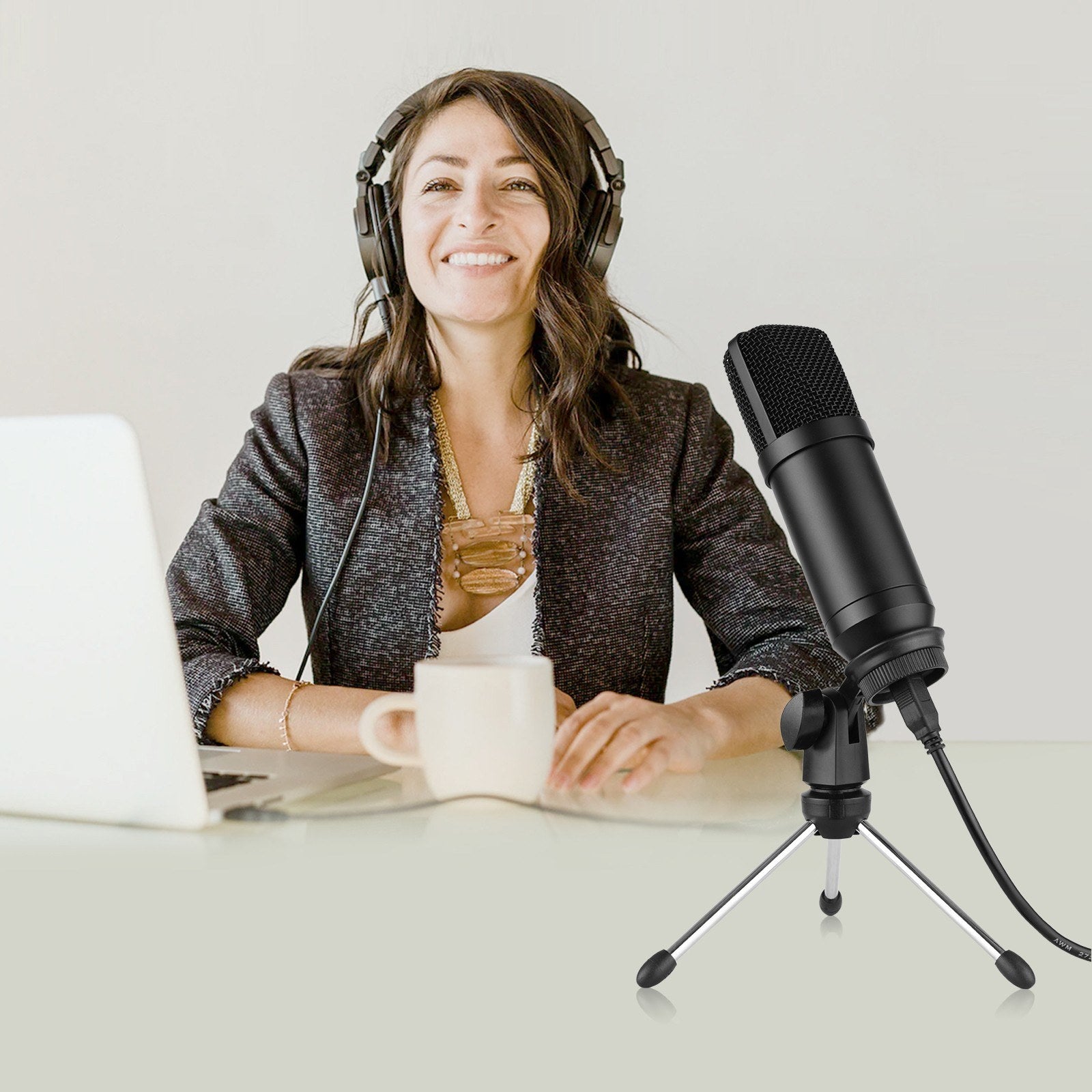 USB Condenser Microphone Set with Foldable Mic Tripod Power Cord Foam Wind Muff