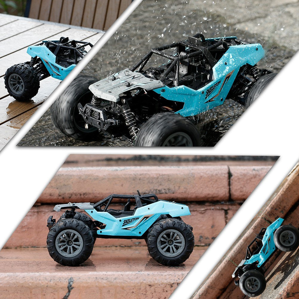 1:16 RC Car 2.4Ghz 40KM/H High Speed Off Road Trucks 4WD Vehicle Racing Buggy Crawler