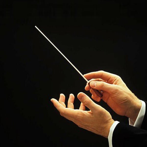 Concert Baton Rhythm Director Band Conductor Resin 36cm long