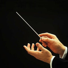 Concert Baton Rhythm Director Band Conductor Resin 36cm long