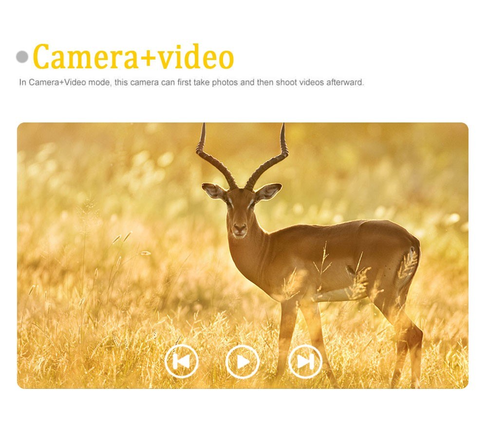 Hunting Trail Camera