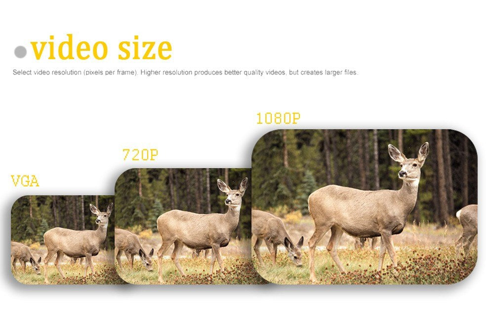 Hunting Trail Camera