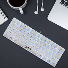 61 Keys Gaming Keyboard USB Wired LED Backlit Multiple Shortcut Keys Mini Mechanical Feel Keyboard for Home Office