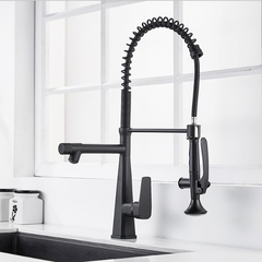 Kitchen Faucet with Flexible Pull-Down Sprayer
