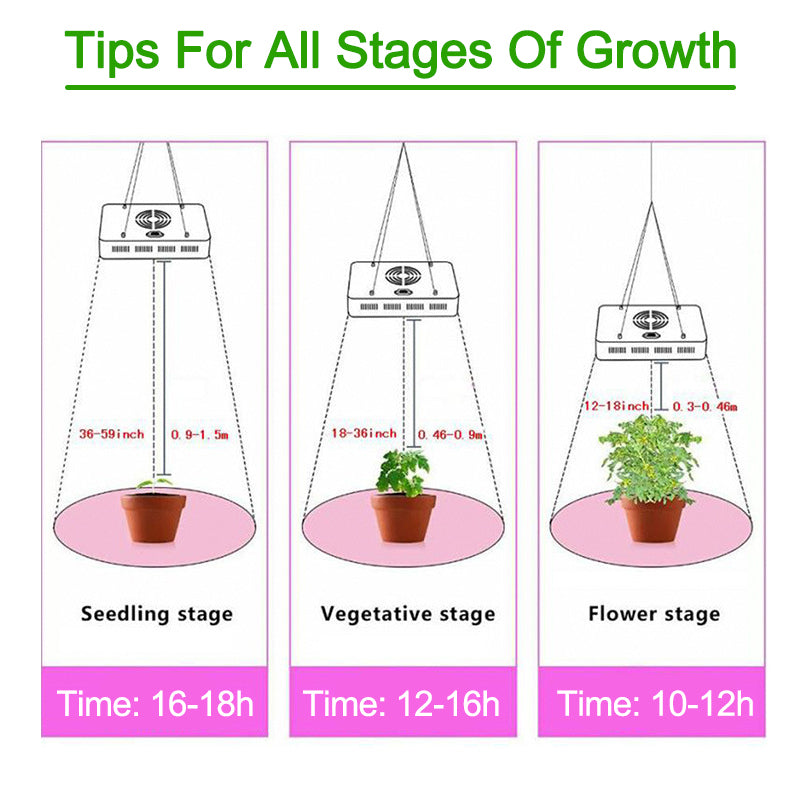 100W 300 LED Grow Light Plant Hydroponics Full Spectrum Vegetable Plant Lamp AC85-265V