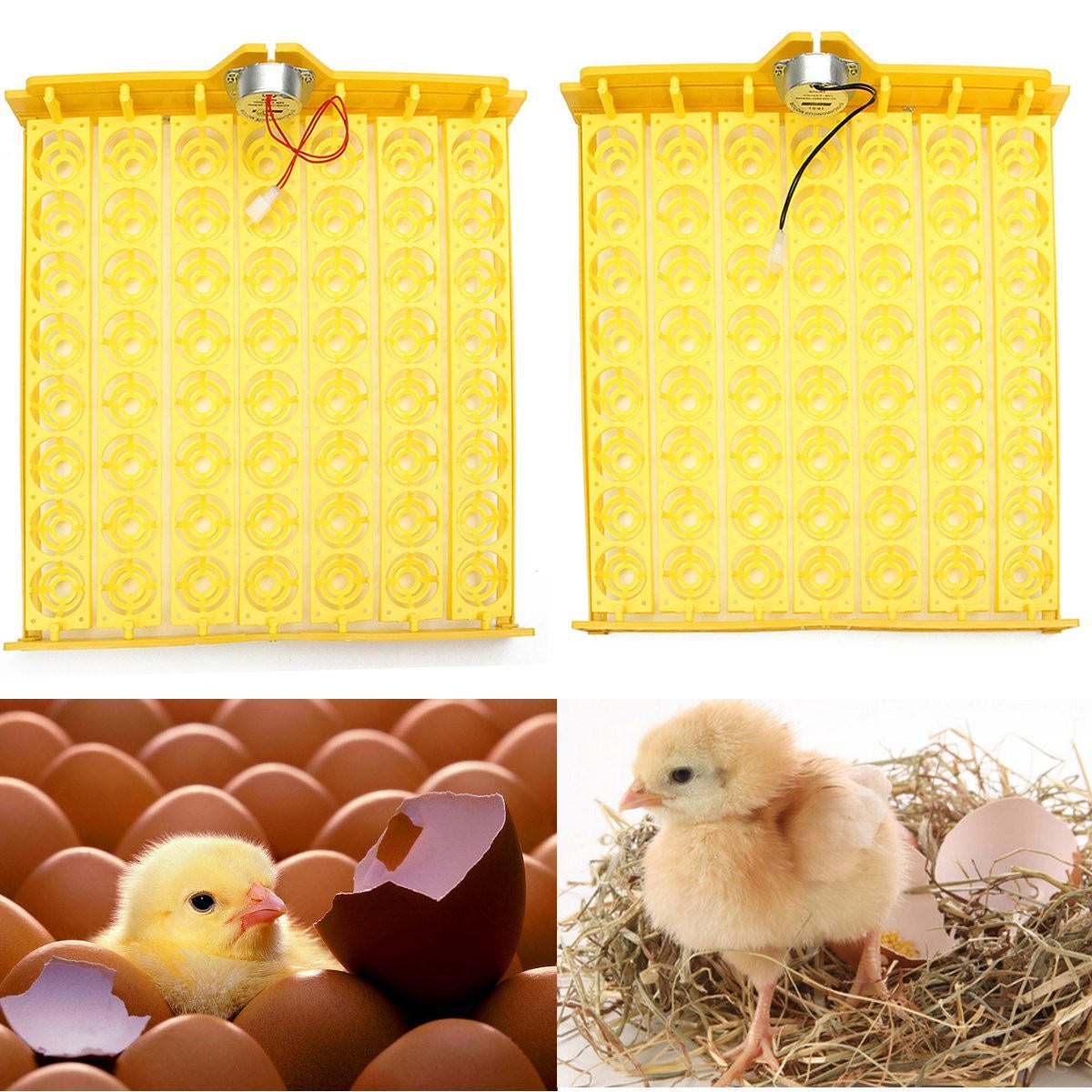 Automatic Egg Incubatoxicken Quail Duck With 110V/220V