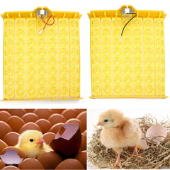 Automatic Egg Incubatoxicken Quail Duck With 110V/220V