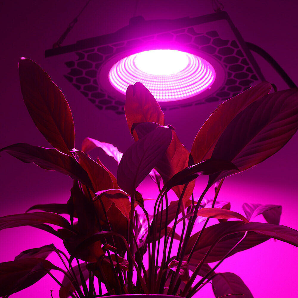 50W Full Spectrum LED Grow Light Veg Seed Greenhouse Super Cooling Plant Lamp AC110V/220V