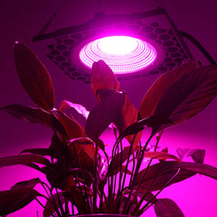50W Full Spectrum LED Grow Light Veg Seed Greenhouse Super Cooling Plant Lamp AC110V/220V