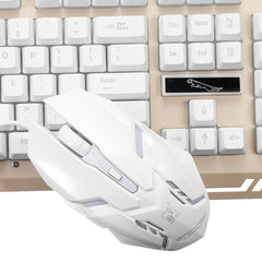 Mechanical Feel Wired Gaming Keyboard & Mouse Set 104 Keys USB Wired Keyboard 2400DPI Ergonomic Mouse LED Luminous Rainbow Backlit