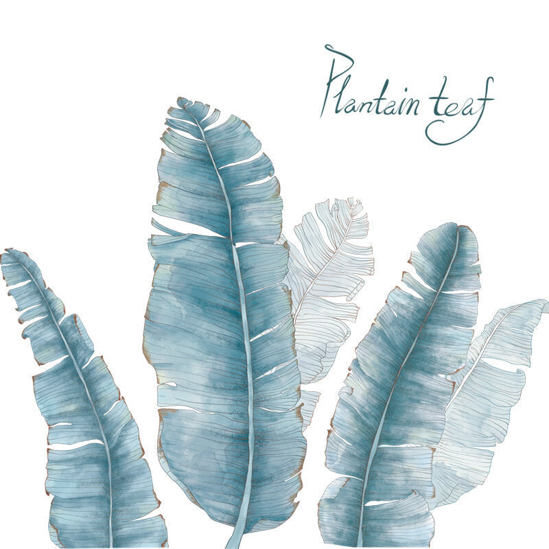 Potted Plants Wall Stickers for Living Room Bedroom Porch Kitchen DIY Vinyl Self-adhesive Wall Decals Plants Wall Mural