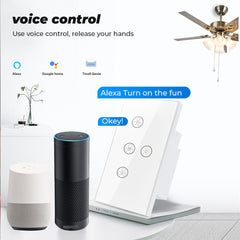 WiFi Touch Ceiling Fan Light Switch US 220V Remote Timer Control Speed Wall Switch with Alexa Google Home