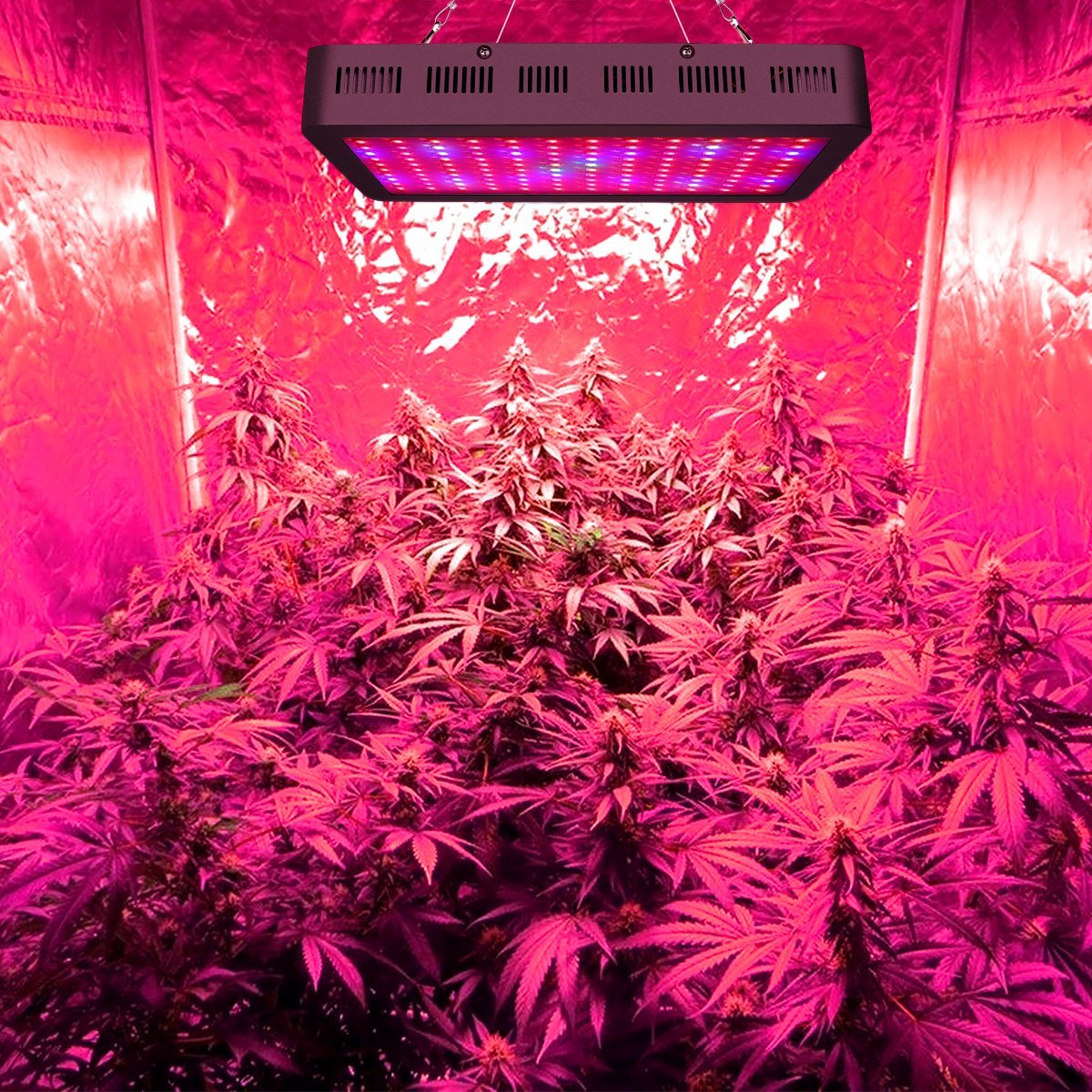 1200W Double Chips LED Grow Light Full Spectrum Grow Lamp for Greenhouse Hydroponic Indoor Plants
