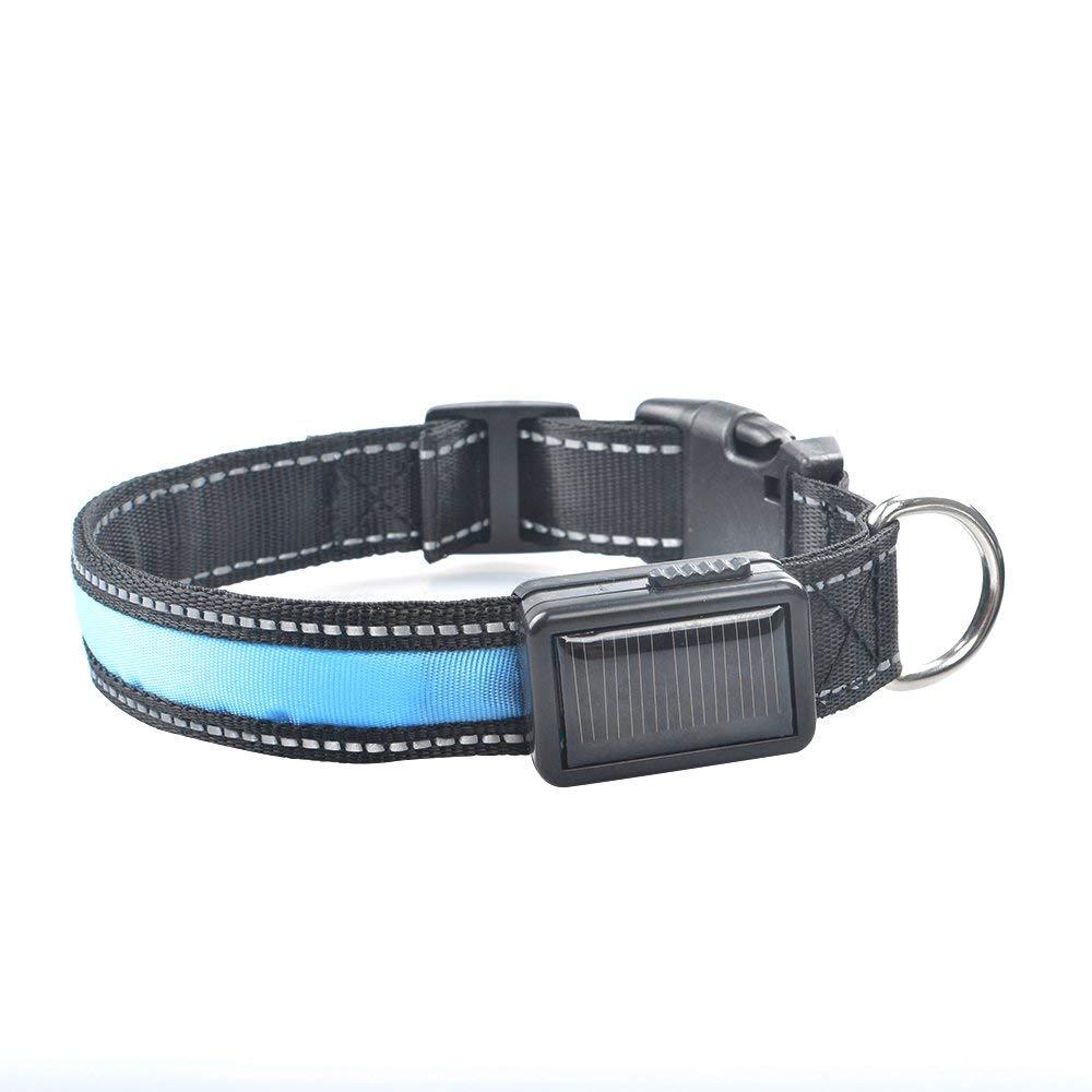 Dog Pet Collar Solar Power USB Charging Electronic LED Flashing Light