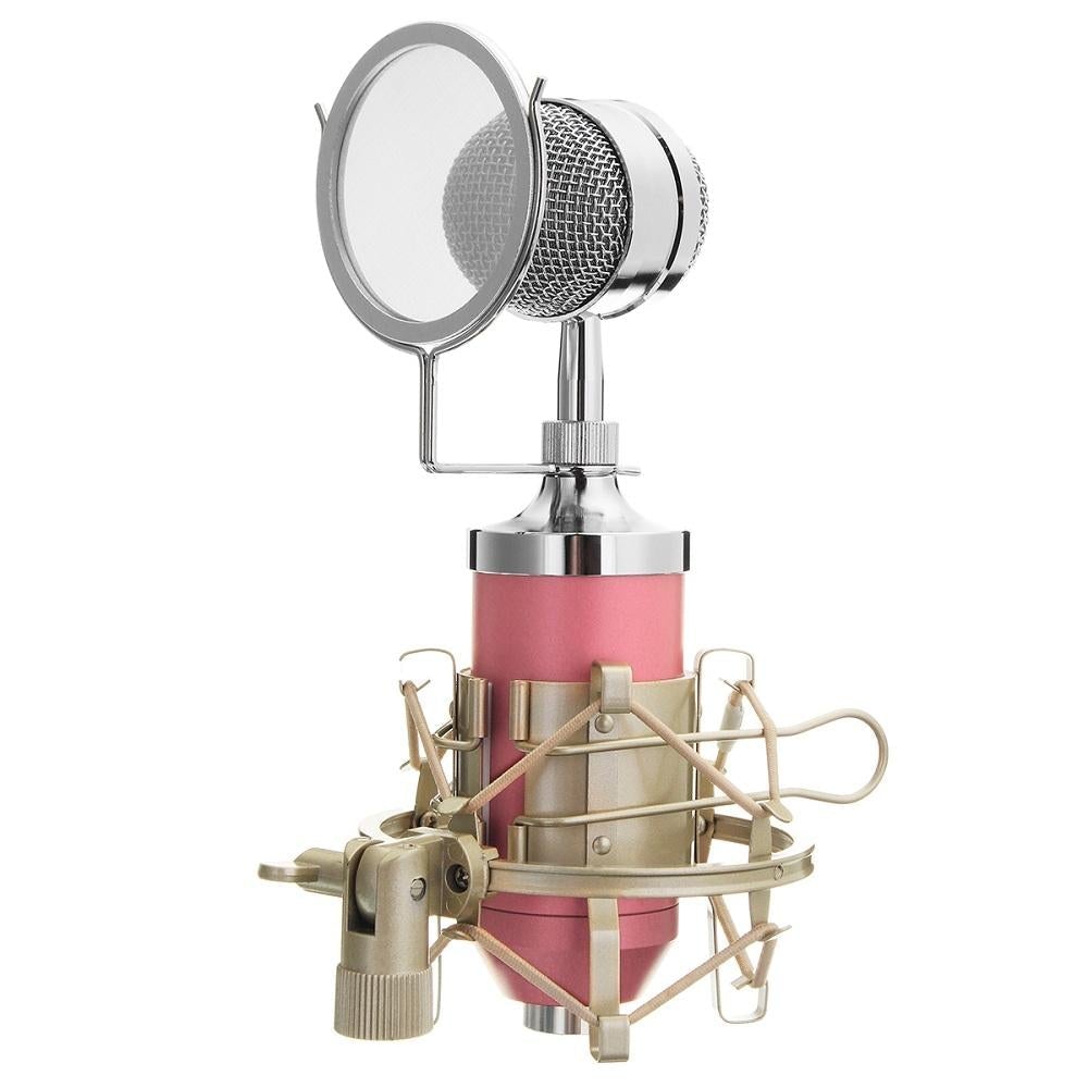 Studio Recording Condenser Microphone Metal Shock Mount for ASMR