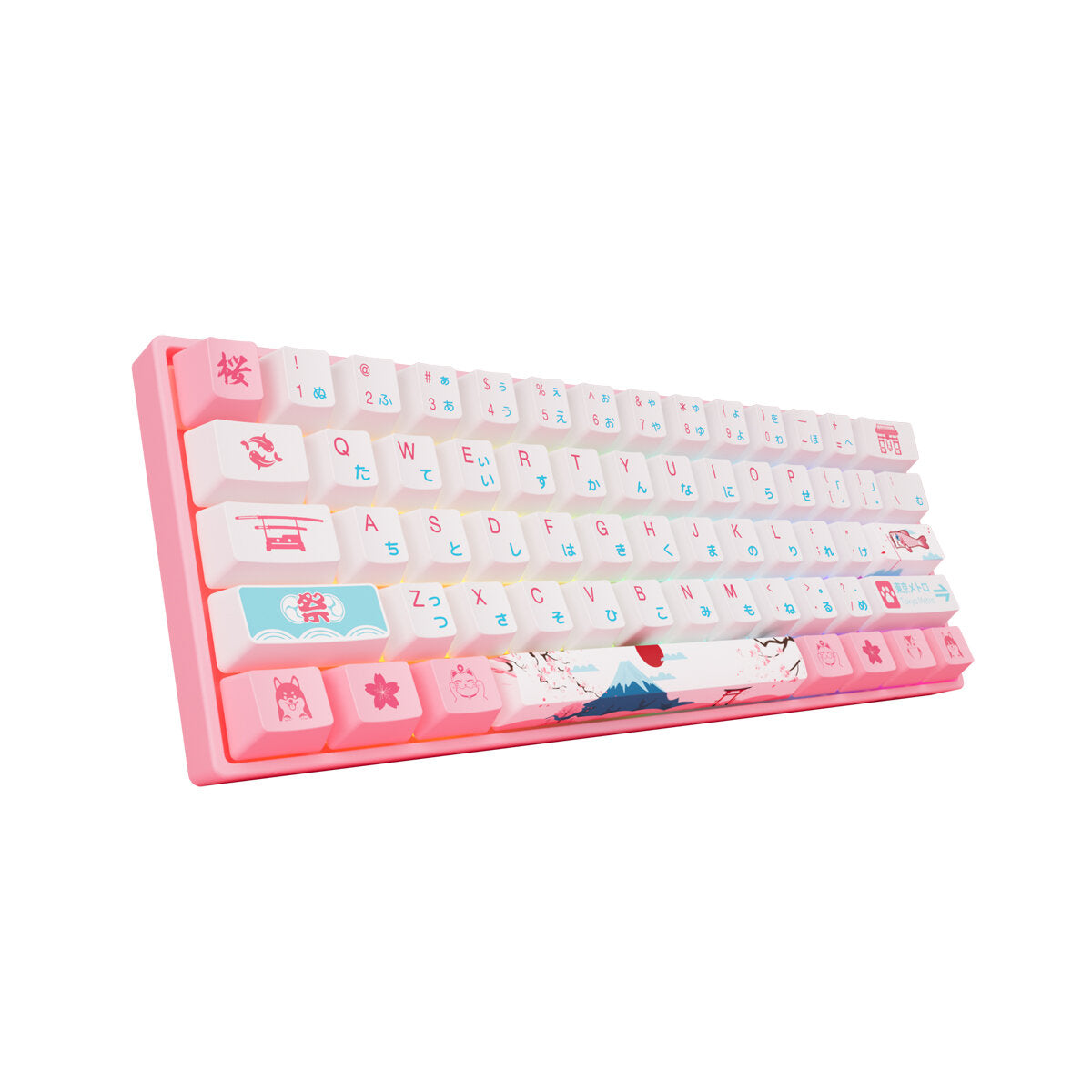 Mechanical Keyboard 61 Keys Wired Hot Swappable Gateron Prelubricate Switch RGB Cherry Profile PBT Keycaps Gaming Keyboard