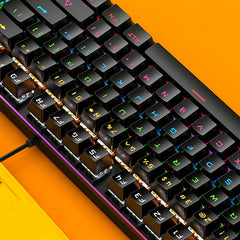 Mechanical Keyboard 87 Keys TKL Layout USB Wired Detachable Panel Blue/Black Switch Colorful Rainbow Backlit Gaming Keyboard for Laptop PC Gamer