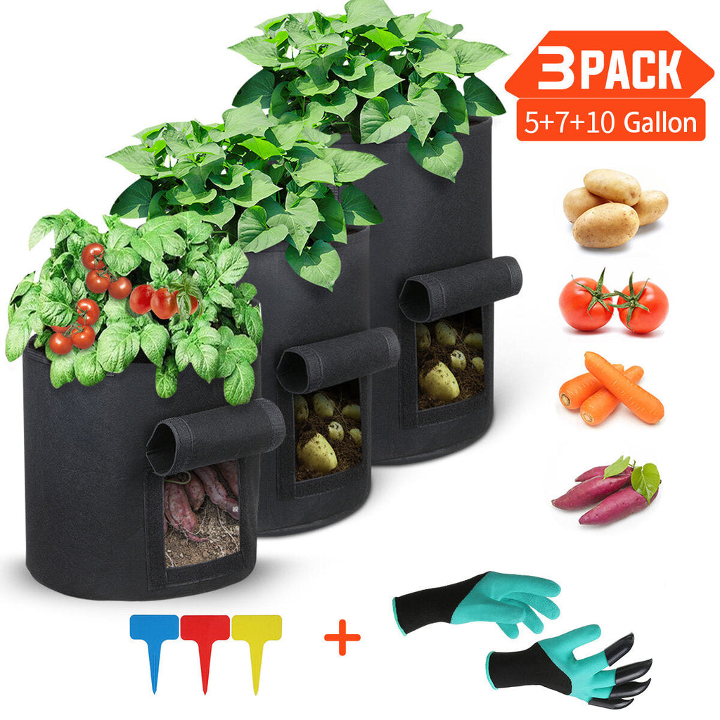 Non-woven Fabric Garden Potato Growing Bag Sturdy Reusable Growing Bag Plant Pot