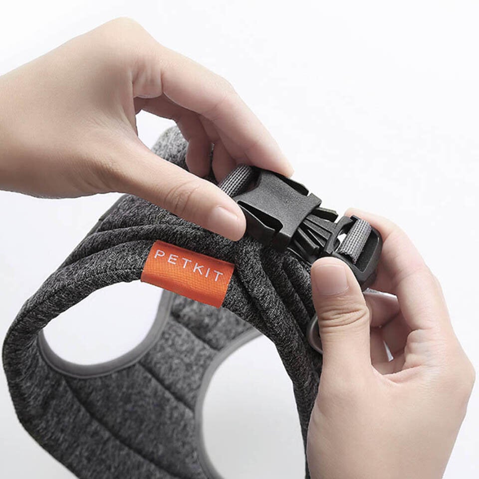 Soft Breathable Dog Harness Leash Set Adjustable Pet Vest Outdoor Padded Dog Harness Vest For Small Medium Dogs From Dog Harness