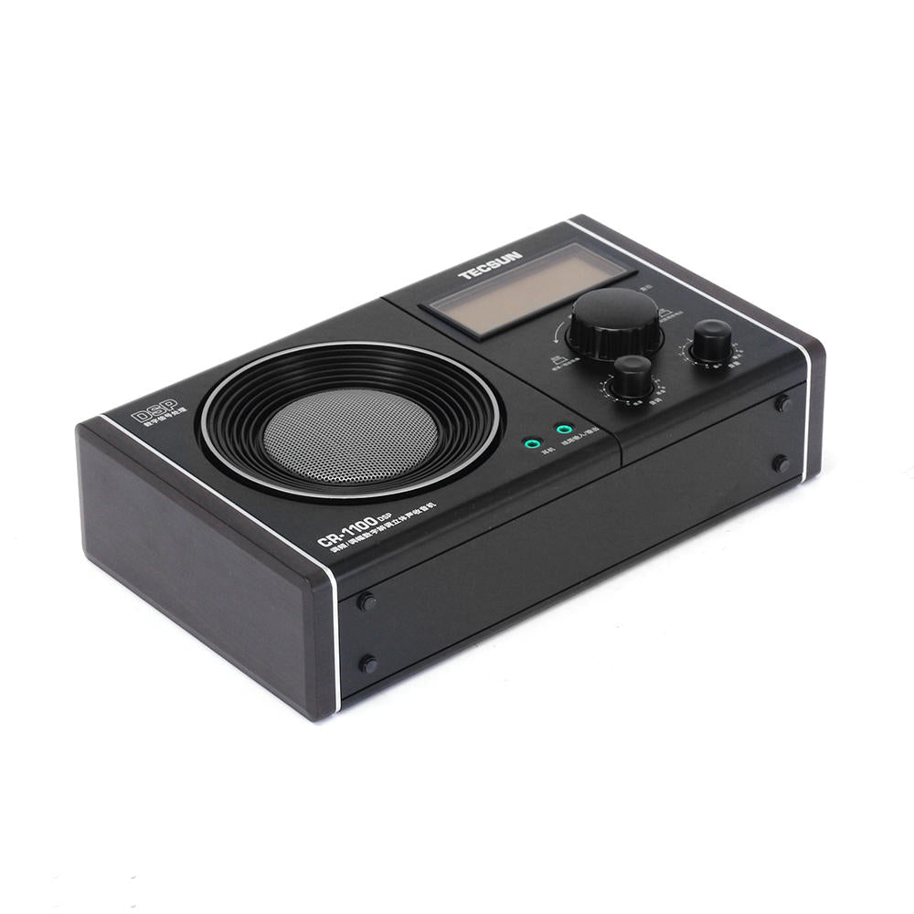 DSP AM FM Radio Receiver with Flash Light