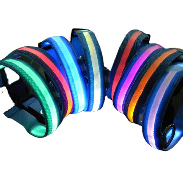 LED Pet Dog Collar Night Safety Dog Flashing Collar