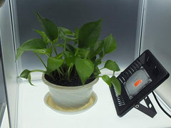 AC170-300V 50W Full Spectrum LED Plant Grow Flood Light Waterproof Ultra Thin For Indoor Ourdoor