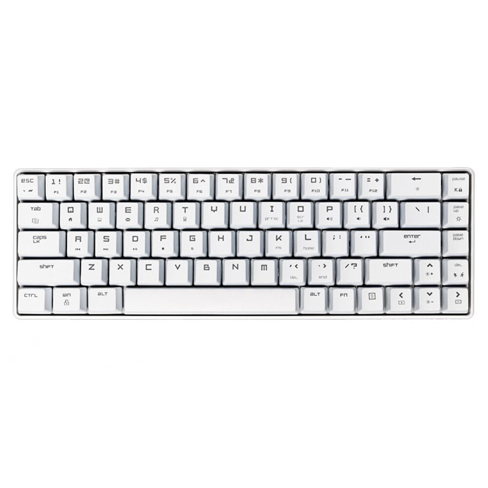 Mechanical Keyboard 68 Keys ABS Translucent Suspended Keycaps Blue Switch Anti-ghosting RGB Backlit Type-C Wired Gaming Keyboard