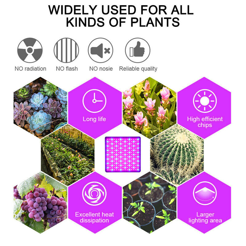 3000W 2600LM 144LED COB Grow Light Full Spectrum Lamp Plant Hydroponics Flower A