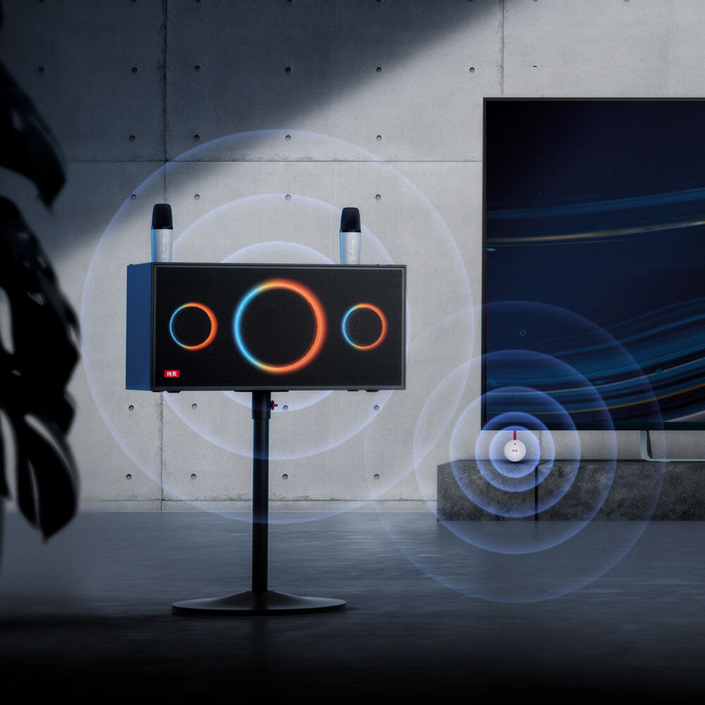 Wireless Karaoke Speaker Bluetooth Home Theatre Subwoofer Dual Microphone with 120w Colorful Lighting Effect Support Multiple Audio Inputs