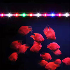 Double Row High-brightness Blue and White Mi*ed Color Brightening Led Fish Tank Light LED High Bright Diving Light Waterproof Aquarium